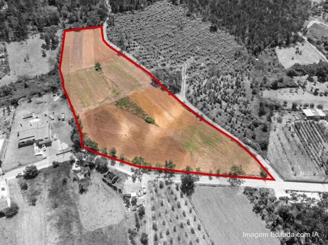 Terreno para Venda em Chão de Couce Foto 8