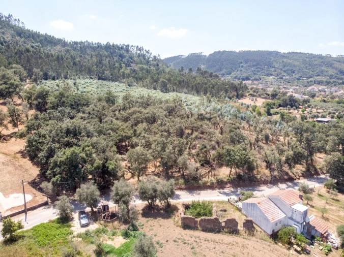 Terreno para Venda em Chão de Couce Foto 27