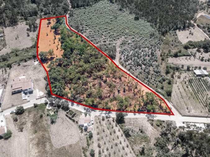 Terreno para Venda em Chão de Couce Foto 7