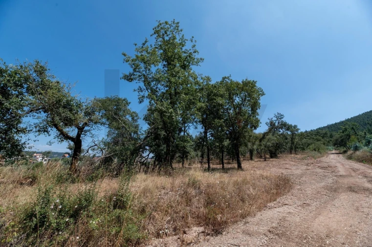 Terreno para Venda em Chão de Couce Foto 4