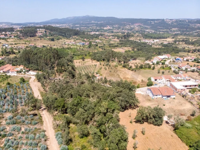 Terreno para Venda em Chão de Couce Foto 24