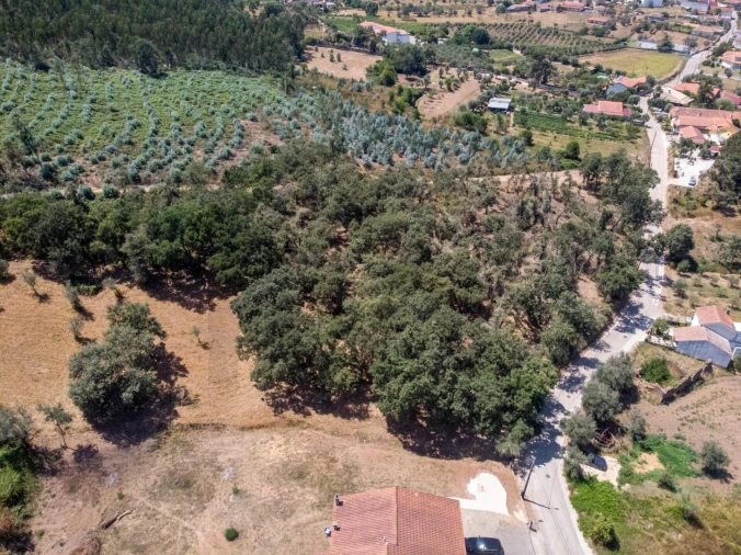 Terreno para Venda em Chão de Couce Foto 26
