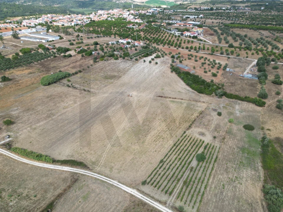 Terreno para Venda em Marmeleira e Assentiz Foto 9