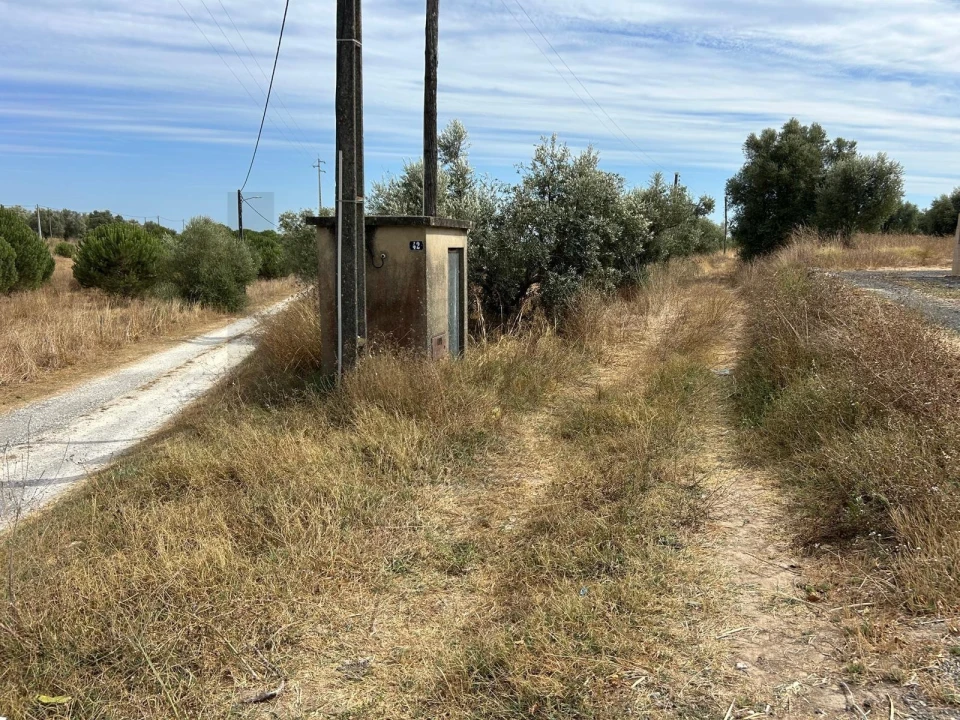 Terreno para Venda em Marmeleira e Assentiz Foto 37