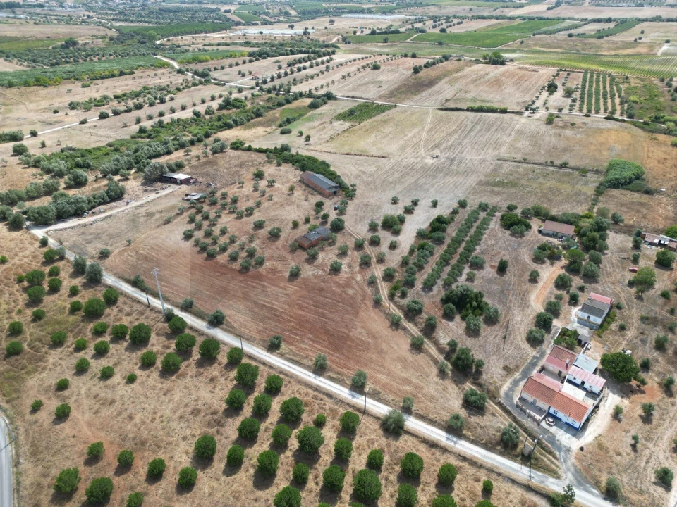 Terreno para Venda em Marmeleira e Assentiz Foto 35