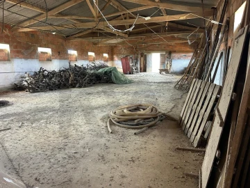 Terreno para Venda em Marmeleira e Assentiz