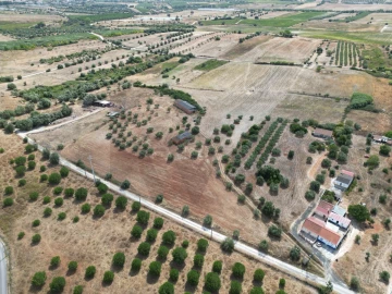 Terreno para Venda em Marmeleira e Assentiz