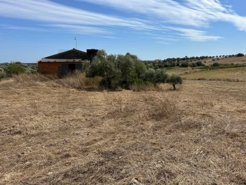 Terreno para Venda em Marmeleira e Assentiz