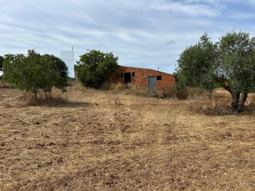 Terreno para Venda em Marmeleira e Assentiz