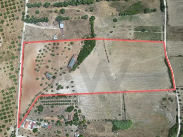 Terreno para Venda em Marmeleira e Assentiz