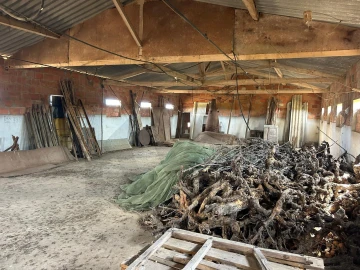 Terreno para Venda em Marmeleira e Assentiz