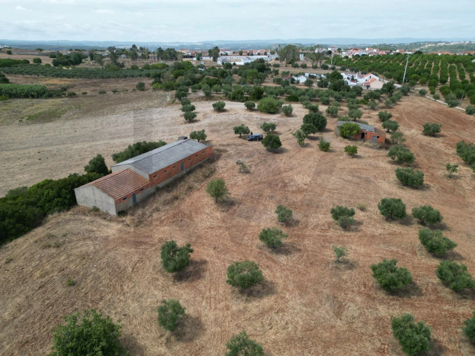 Terreno para Venda em Marmeleira e Assentiz Foto 7