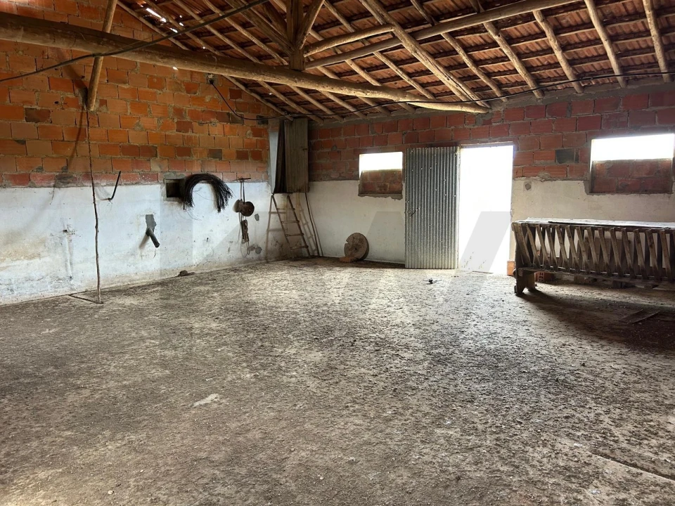 Terreno para Venda em Marmeleira e Assentiz Foto 21