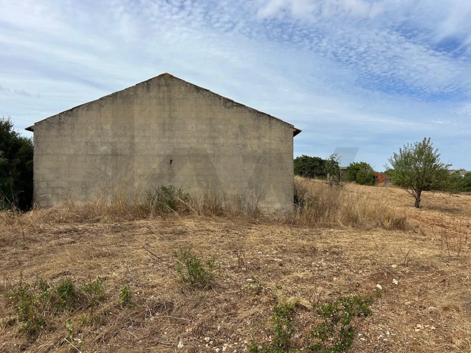 Terreno para Venda em Marmeleira e Assentiz Foto 2
