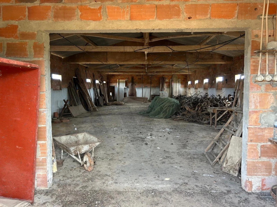 Terreno para Venda em Marmeleira e Assentiz Foto 10