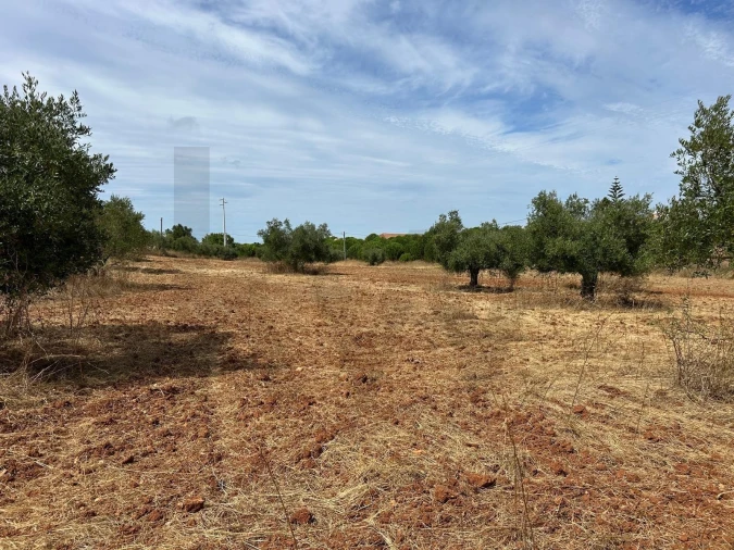 Terreno para Venda em Marmeleira e Assentiz Foto 23