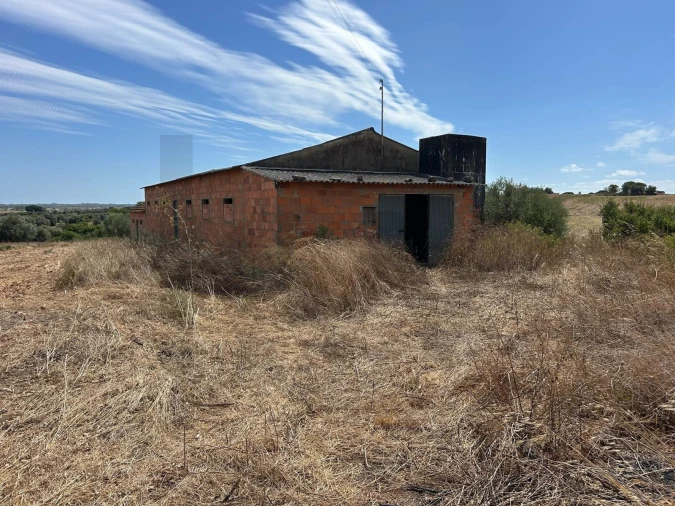 Terreno para Venda em Marmeleira e Assentiz Foto 3
