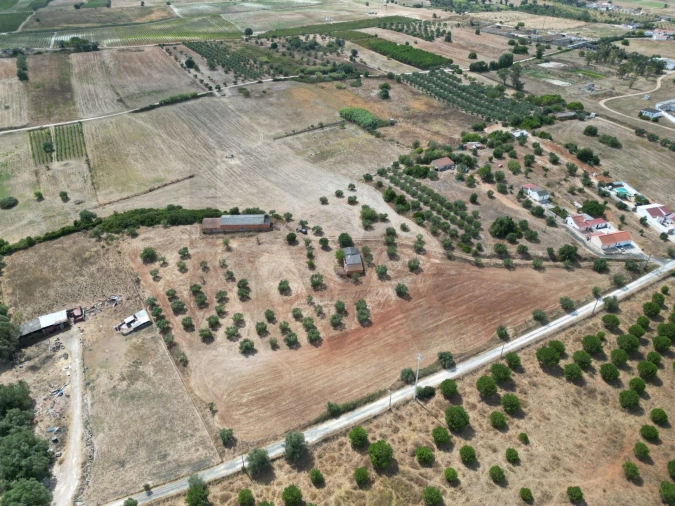 Terreno para Venda em Marmeleira e Assentiz Foto 32