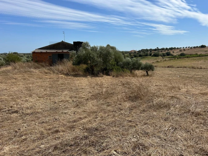 Terreno para Venda em Marmeleira e Assentiz Foto 36