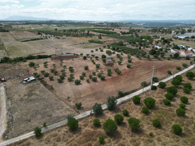 Terreno para Venda em Marmeleira e Assentiz Foto 34