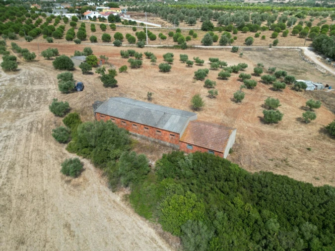 Terreno para Venda em Marmeleira e Assentiz Foto 8