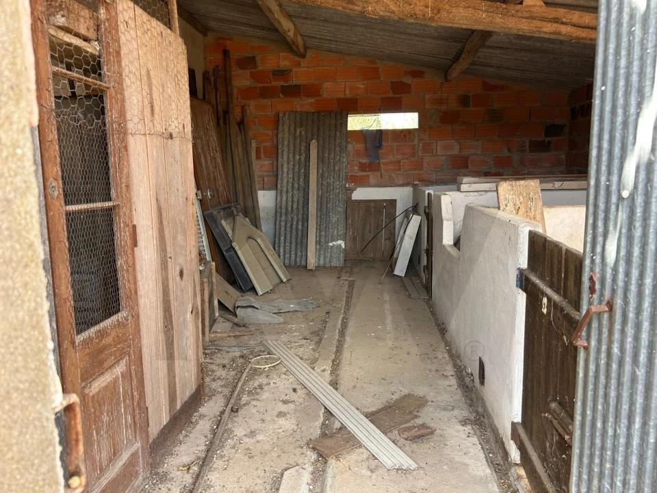 Terreno para Venda em Marmeleira e Assentiz Foto 30