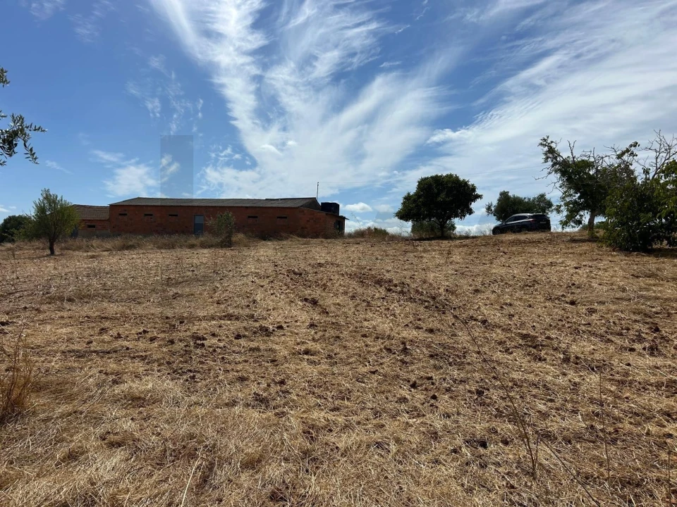 Terreno para Venda em Marmeleira e Assentiz Foto 25