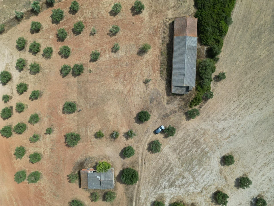 Terreno para Venda em Marmeleira e Assentiz Foto 6