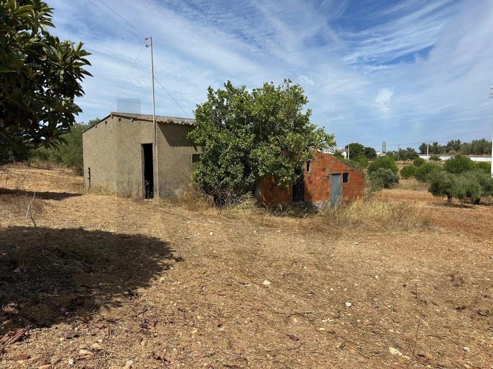 Terreno para Venda em Marmeleira e Assentiz Foto 28