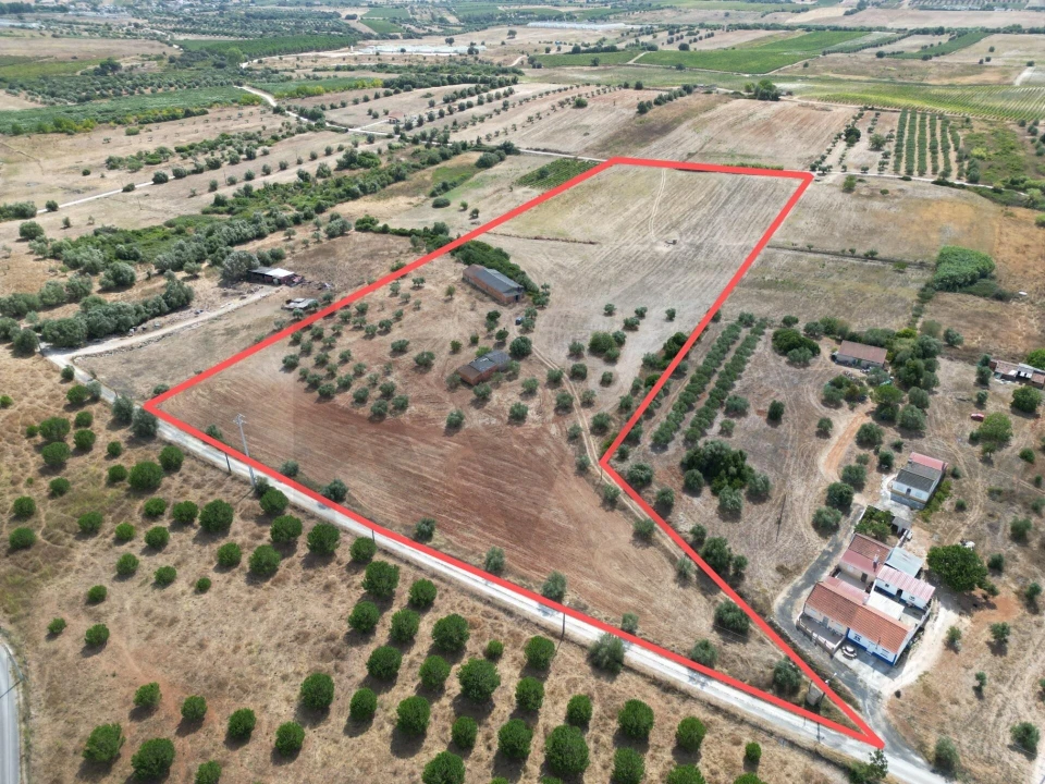 Terreno para Venda em Marmeleira e Assentiz Foto 31