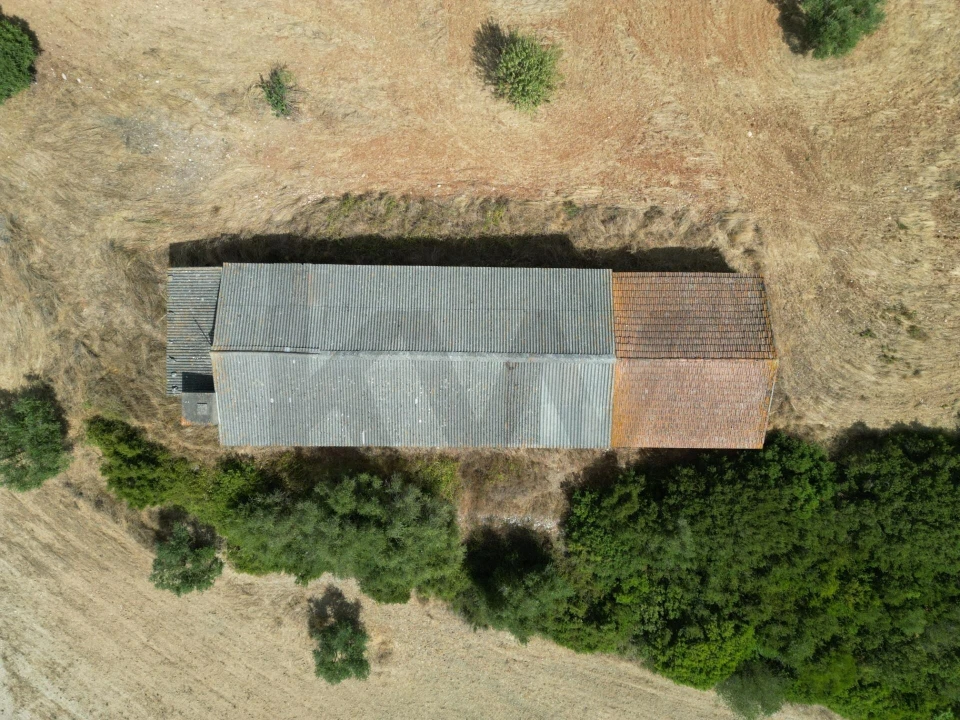 Terreno para Venda em Marmeleira e Assentiz Foto 5