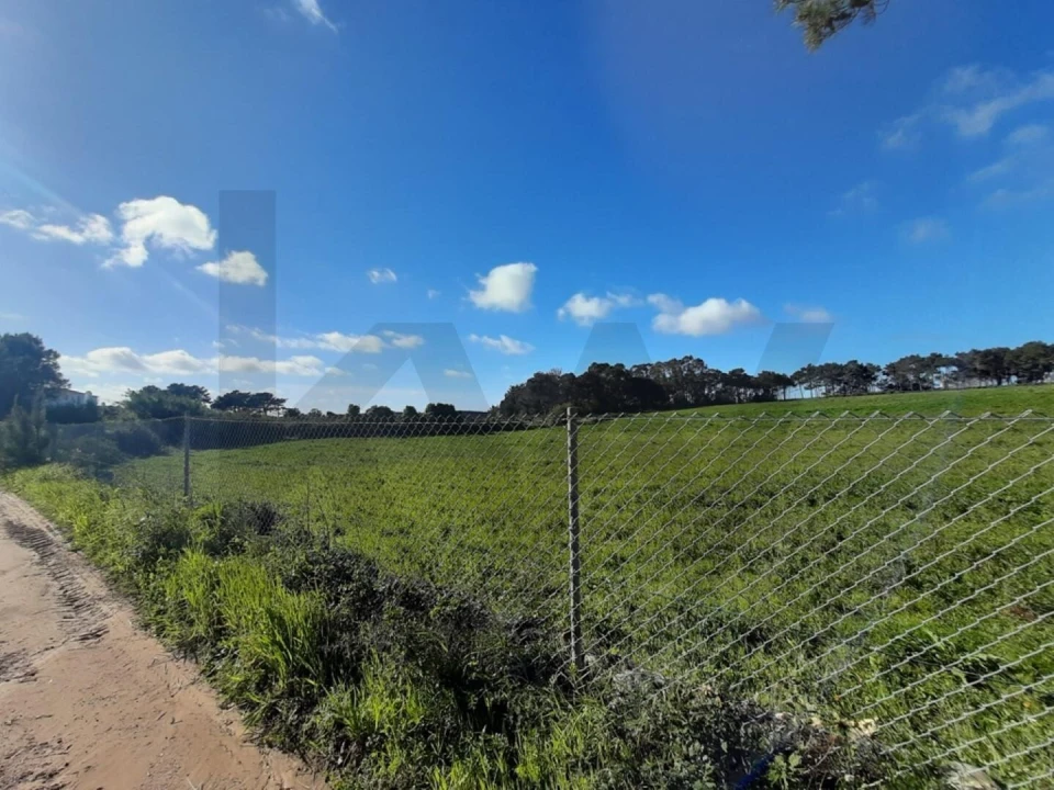 Terreno para Venda em Ericeira Foto 2