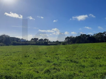 Terreno para Venda em Ericeira