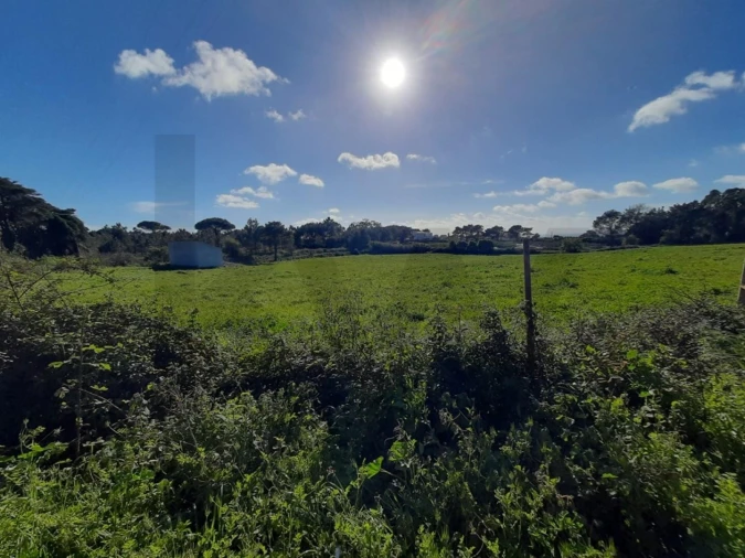 Terreno para Venda em Ericeira Foto 5