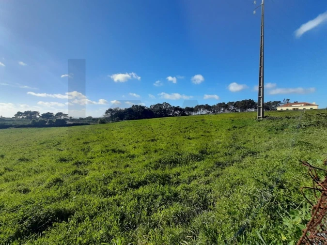 Terreno para Venda em Ericeira Foto 9