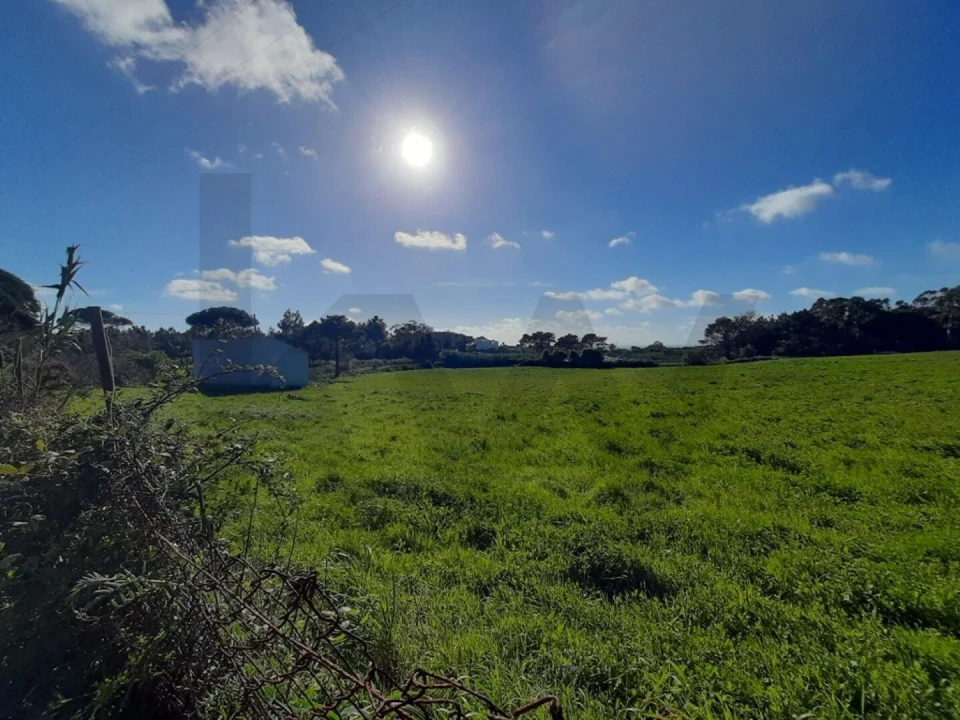 Terreno para Venda em Ericeira Foto 8