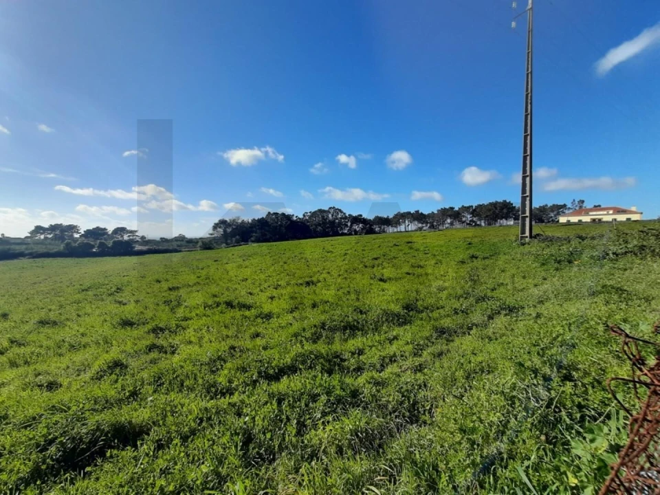 Terreno para Venda em Ericeira Foto 9