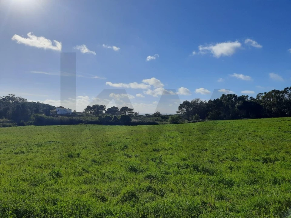 Terreno para Venda em Ericeira Foto 1