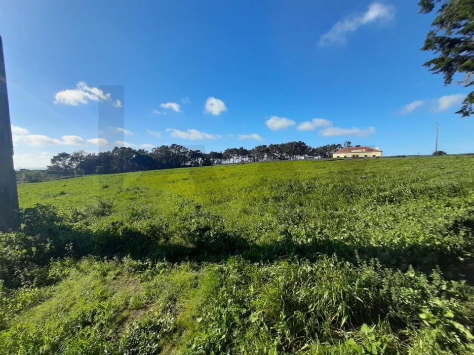 Terreno para Venda em Ericeira Foto 4