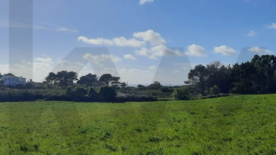 Terreno para Venda em Ericeira