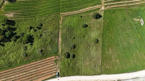 Terreno para Venda em Olhalvo