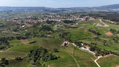 Terreno para Venda em Olhalvo