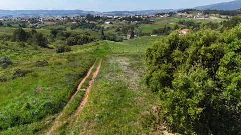 Terreno para Venda em Olhalvo