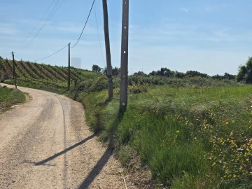Terreno para Venda em Olhalvo
