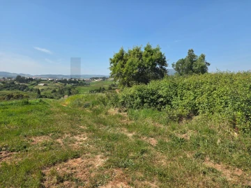 Terreno para Venda em Olhalvo