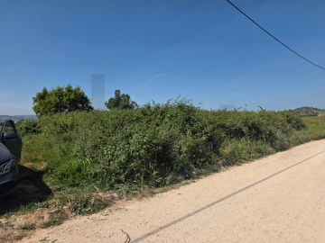 Terreno para Venda em Olhalvo