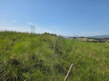 Terreno para Venda em Olhalvo