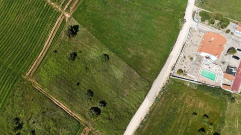 Terreno para Venda em Olhalvo