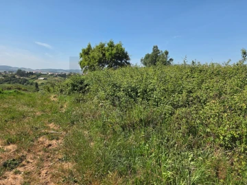 Terreno para Venda em Olhalvo