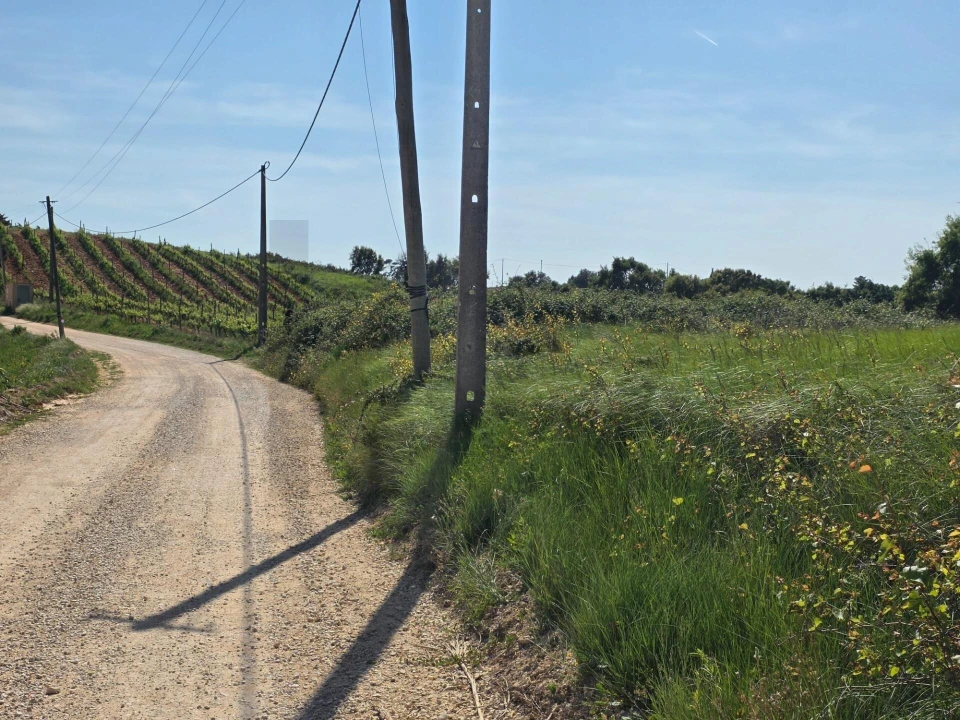 Terreno para Venda em Olhalvo Foto 3